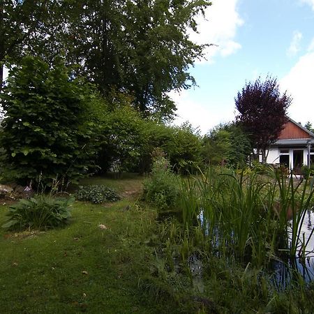 Ferienhaus Wildblick Schleiden Zewnętrze zdjęcie