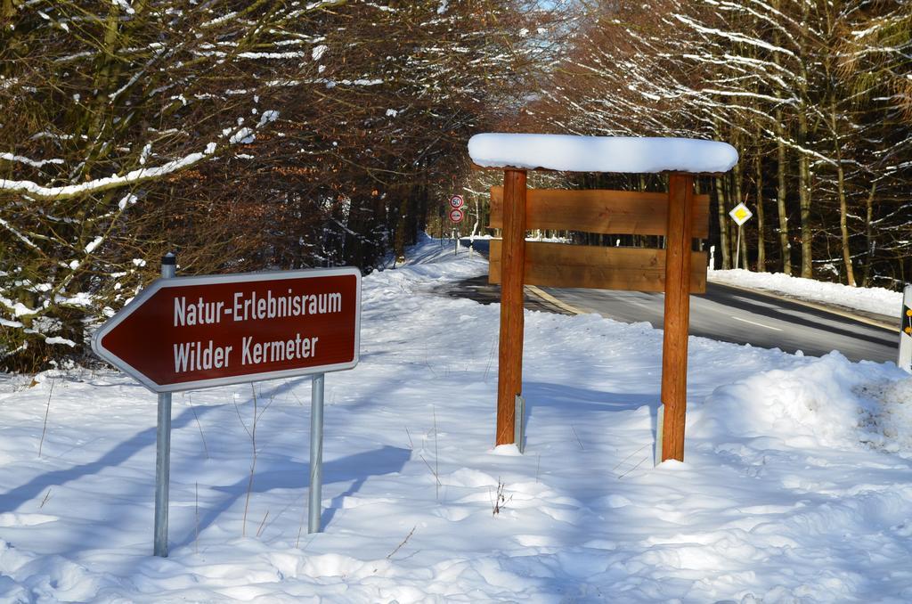 Ferienhaus Wildblick Schleiden Zewnętrze zdjęcie