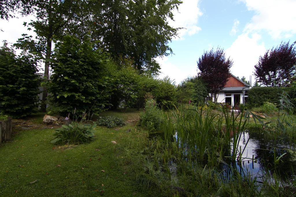 Ferienhaus Wildblick Schleiden Zewnętrze zdjęcie
